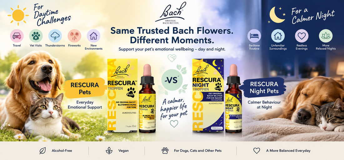 Bach RESCURA Pets vs Night Pets: Which Calming Drops Are Right for Your Pet?