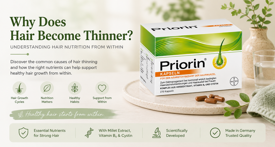 Why Does Hair Become Thinner? Understanding Hair Nutrition from Within