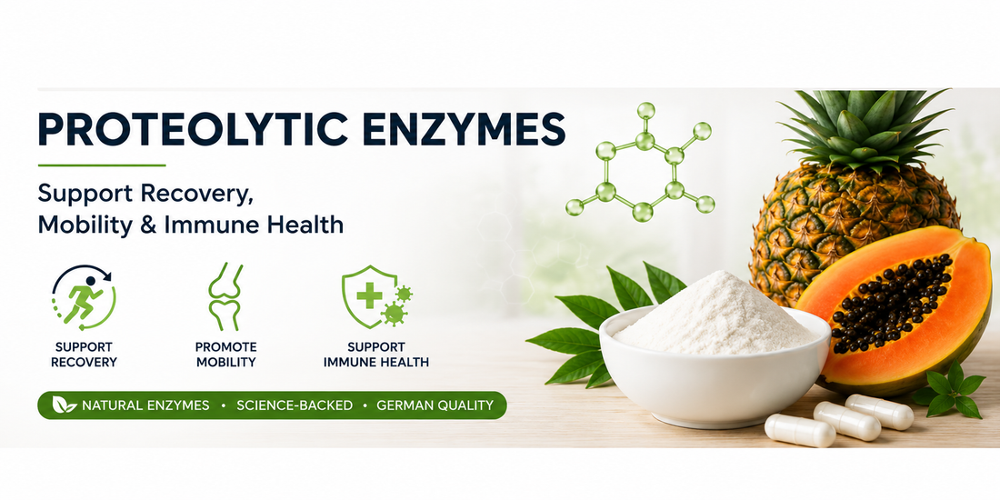 What Are Proteolytic Enzymes? Benefits for Recovery, Mobility & Immune Health