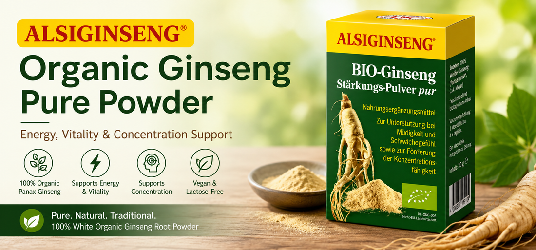 Panax Ginseng Explained: White vs Red Ginseng, Traditional Uses & How to Choose