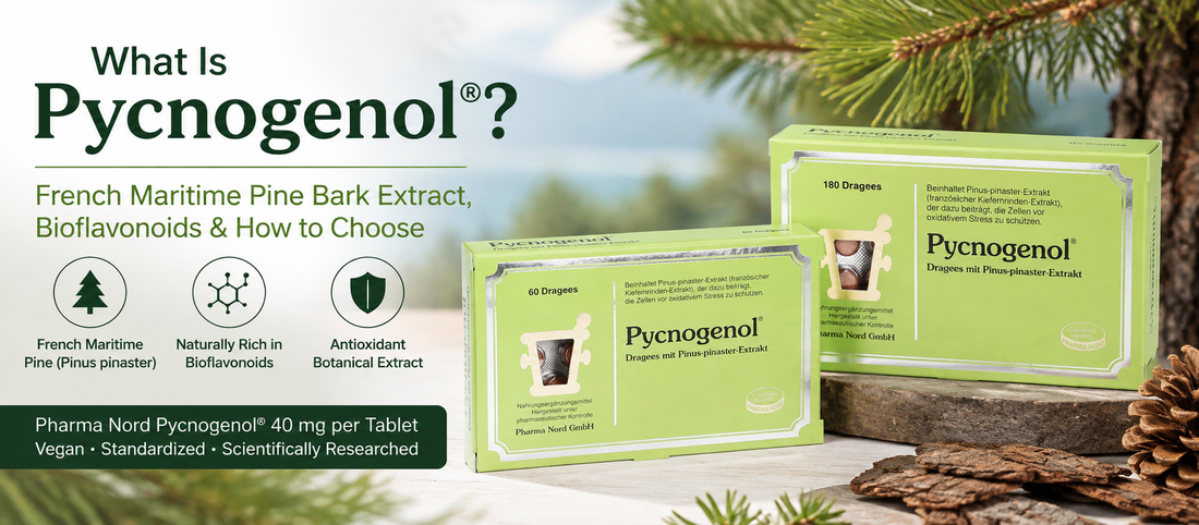 What Is Pycnogenol®? French Maritime Pine Bark Extract, Bioflavonoids & How to Choose