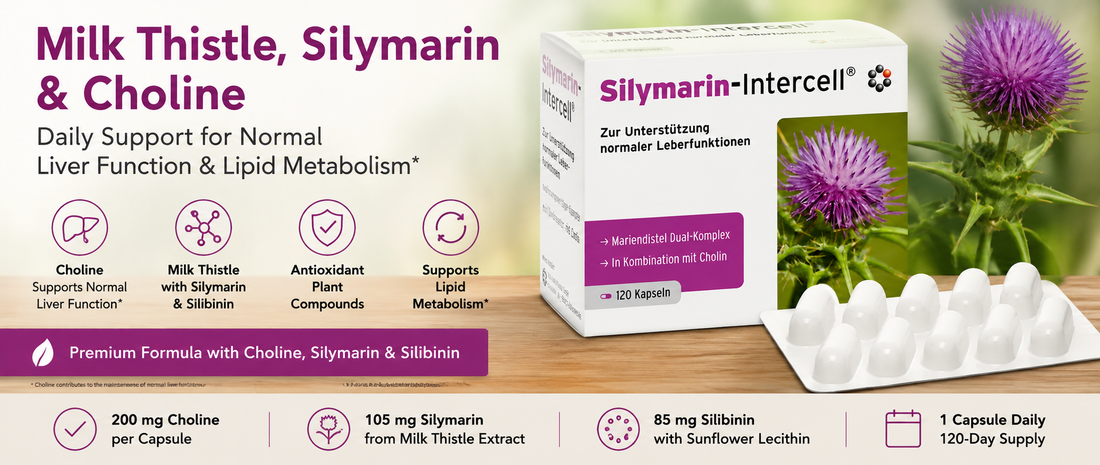 What Is Silymarin and How Do Milk Thistle & Choline Support Normal Liver Function?