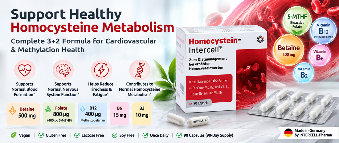What Is Homocysteine and Why Are Betaine, 5-MTHF, B6 & B12 Often Combined?
