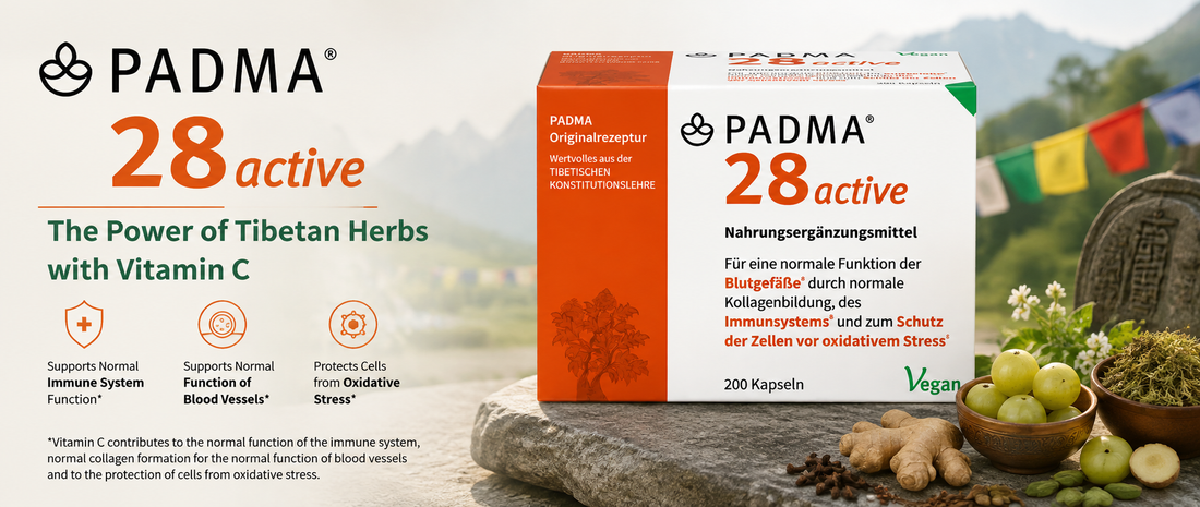What Is PADMA 28 Active? Exploring the Tibetan Herbal Formula with Vitamin C