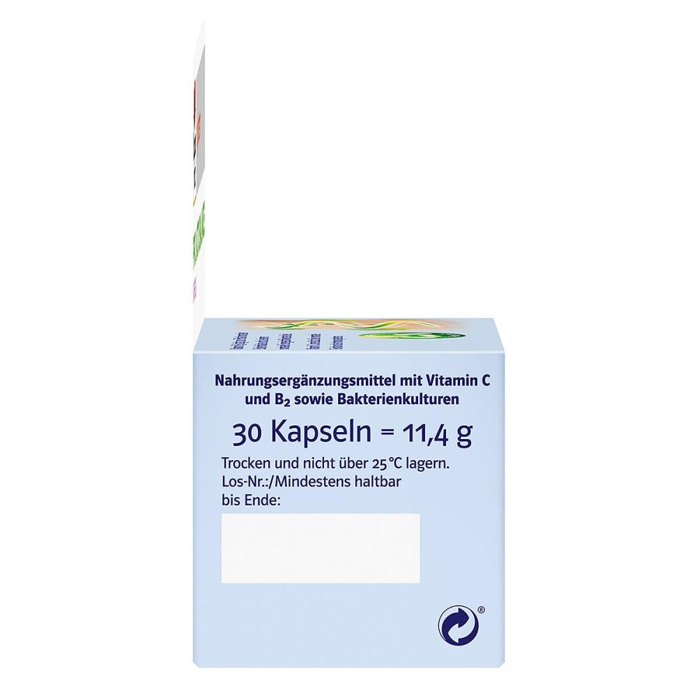 Doppelherz 系统 Pro Lacto Balance 胶囊，30 粒，PZN 13754195