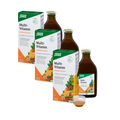 Salus Multi-Vitamin Energetikum 1500 ml | Triple Pack | 3 × 500 ml | Natural Liquid Multivitamin with 8 Vitamins | Immune & Energy Support | Made in Germany | PZN 09189861