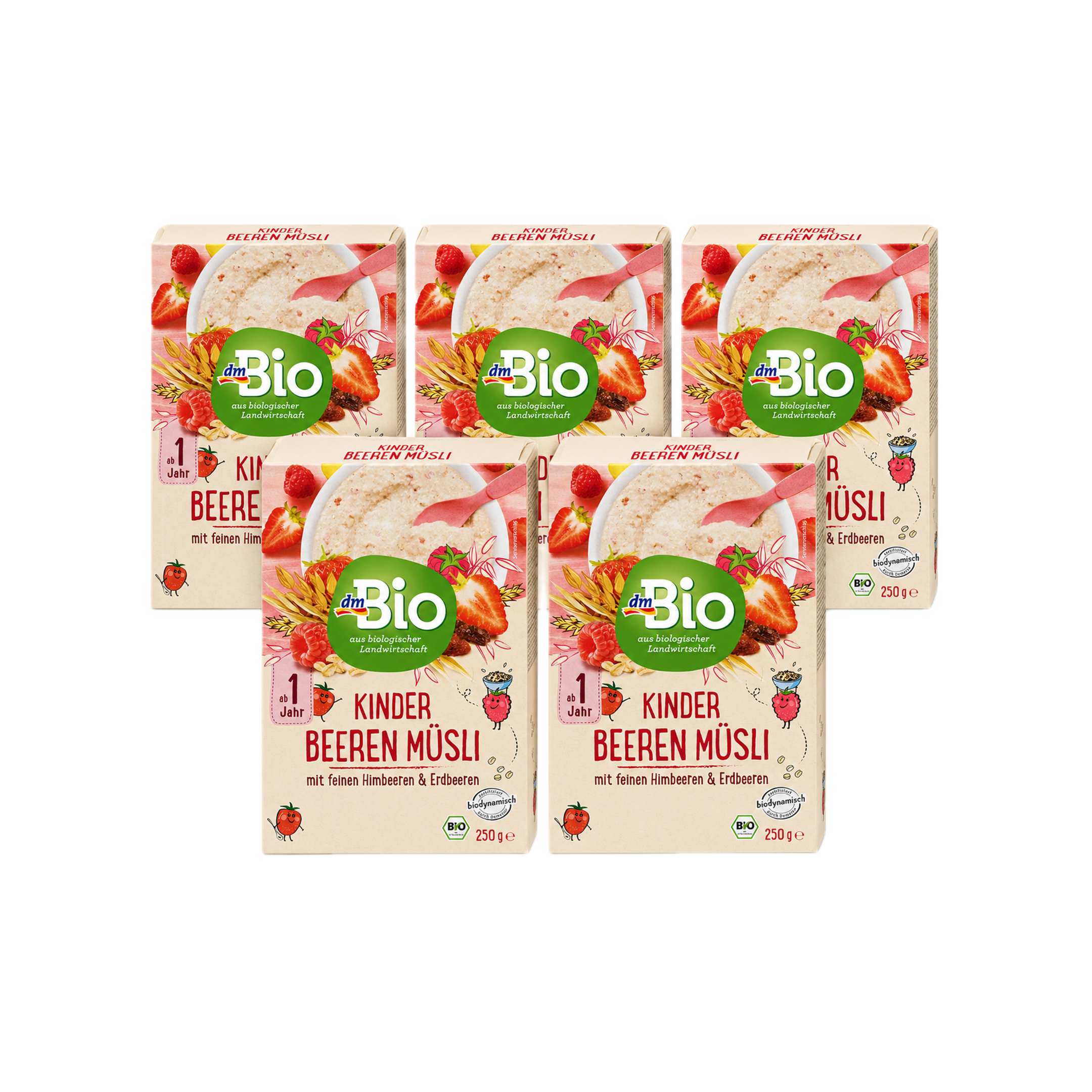 dmBio Berry Children's Muesli 250 g × 5 Boxes | From 1 Year | Organic Whole Grain Muesli with Raspberry & Strawberry | No Added Flavours | Vegan | Made in Germany
