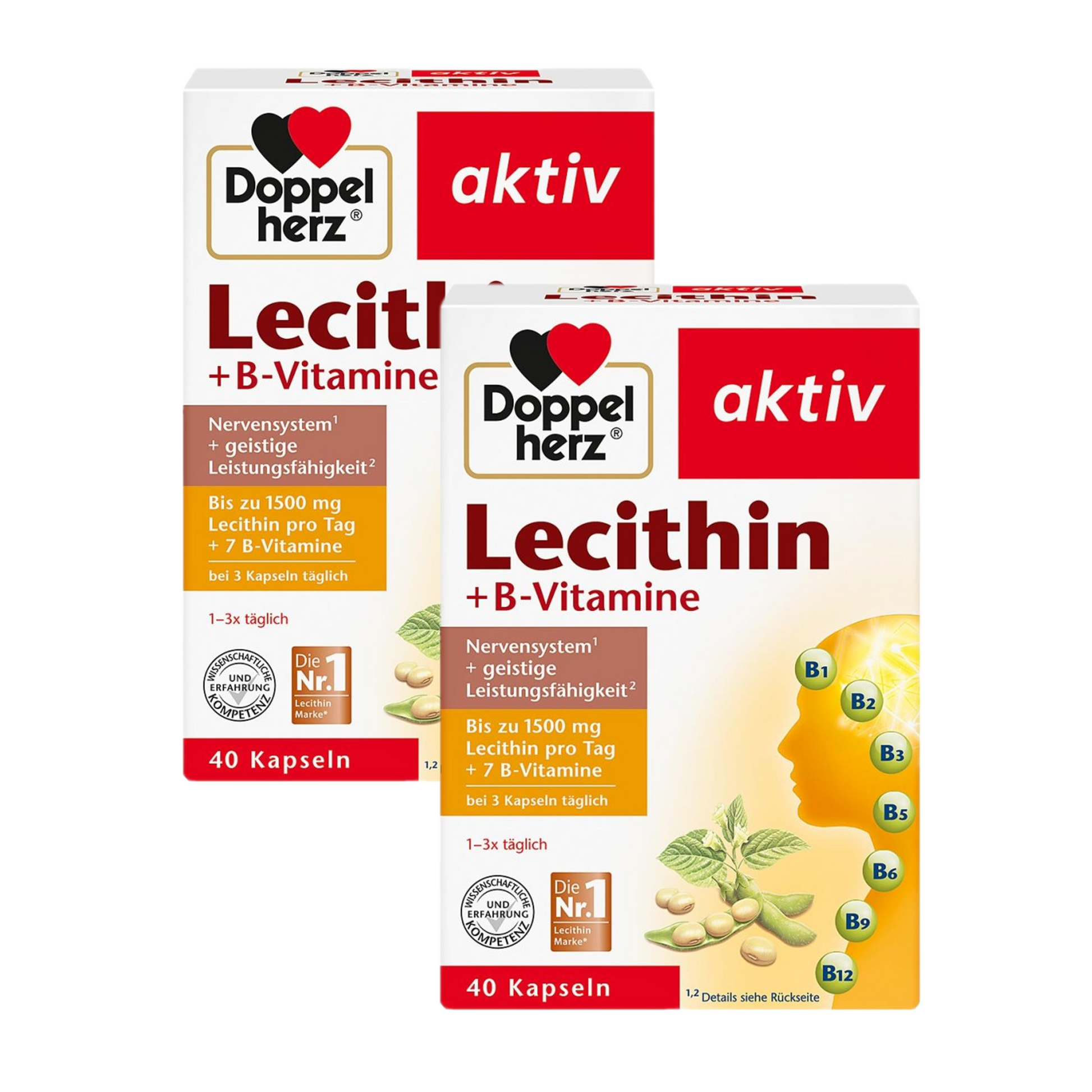 Doppelherz 卵磷脂+B 族维生素胶囊 40 粒 x 2 盒 PZN 00329119