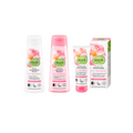 alverde NATURKOSMETIK Wild Rose Skincare Set | Cleansing Milk 200ml + Facial Toner 200ml + Face Cream 50ml | Certified Natural & Vegan Skincare Routine