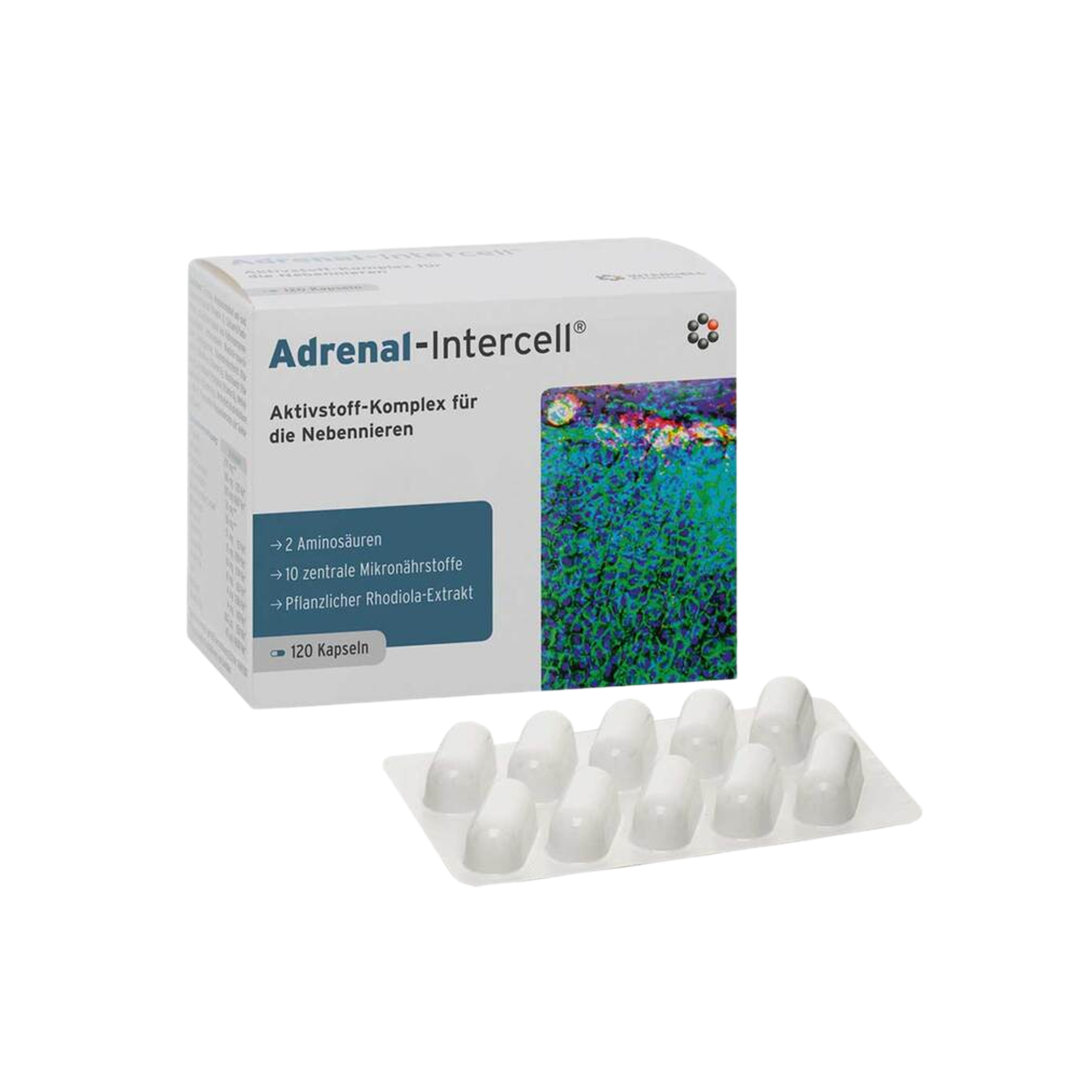 Adrenal-Intercell | L-Tyrosine, Rhodiola, Magnesium + Active B Vitamins | 120 Capsules | PZN 11316315