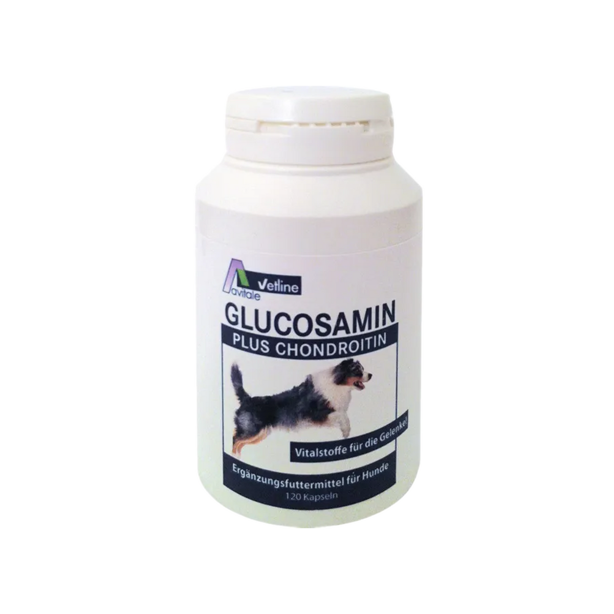 Avitale vetline Glucosamine + Chondroitin for Dogs | 250 mg Glucosamine + 250 mg Chondroitin + Vitamin C | Joint & Mobility Support | 120 Capsules | PZN 03025791