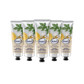 Balea Ginseng & Green Mandarin Hand Cream | Ginseng Extract + Shea Butter + Panthenol | Moisturising Care for Dry & Stressed Hands | Vegan | 5 × 75 ml Value Pack | 375 ml Total