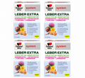 Doppelherz system Leber Extra Capsules 480 Capsules | Family Value Pack | 4 × 120 Capsules | Choline, Milk Thistle, Artichoke, Turmeric & Dandelion | Vegan | Made in Germany | PZN 19267266