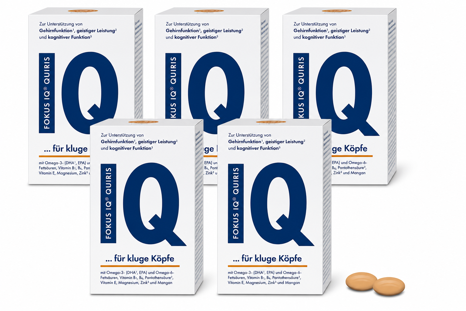 德国原装 FOKUS IQ 补脑健脑胶囊 600粒 | 超值装 5盒 × 120粒 | 含Omega-3 DHA、Omega-6、镁、锌和B族维生素 | 提高记忆力、注意力和认知支持 PZN 17928574