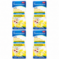 Klosterfrau Heiße Zitrone + Echinacea Sugar Free 48 Sachets | 4 × 12 Sachets | Vitamin C, Zinc & Echinacea | Hot Lemon Drink | Immune Support | Made in Germany PZN 19251638