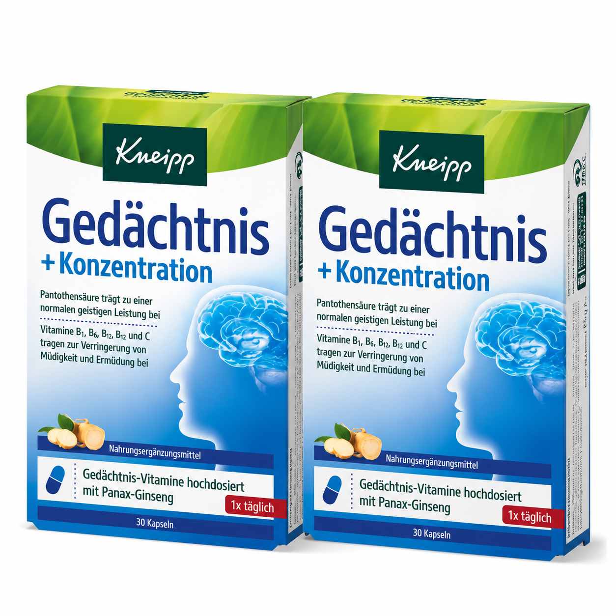Kneipp Memory & Concentration Capsules 60 Count Double Pack 2 × 30 Capsules | Panax Ginseng, B Vitamins & Vitamin C | Mental Performance & Nervous System Support | Made in Germany | PZN 10032685