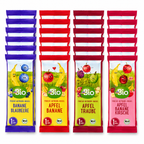 dmBio Organic Fruit Bars Variety Pack | 24 Fruit Bars | 4 Delicious Flavors | 6 Bars Each | From 12 Months | Organic | No Added Sugar | Vegan | Made in Germany