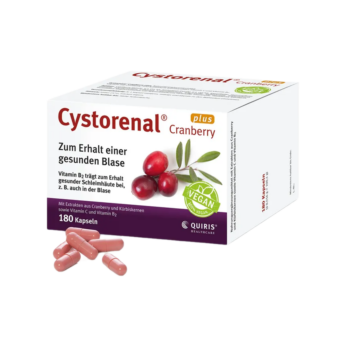 Cystorenal® Cranberry plus | 900 mg Cranberry + 36 mg PACs, Pumpkin Seed, Vitamin C & B2 | 180 Vegan Capsules | PZN 01174860
