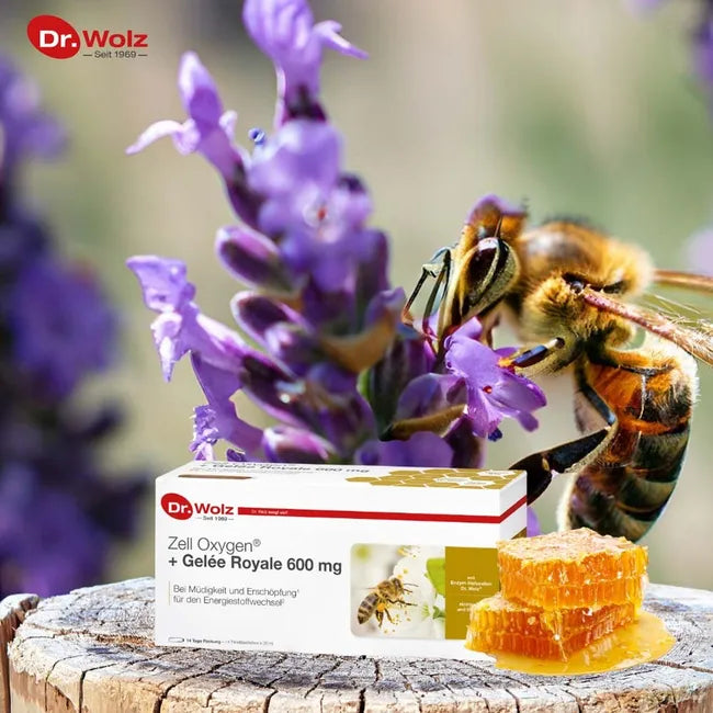 Dr. Wolz Zell Oxygen® + Royal Jelly 600 mg | Enzyme Yeast Cells + B Vitamins for Energy & Vitality | 14 Drinking Vials | PZN 00447273