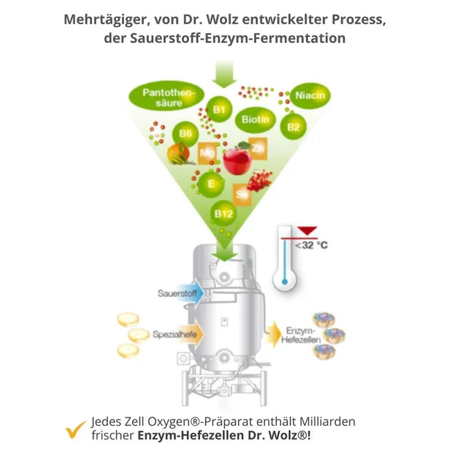Zell Oxygen® ZYM anti-aging | Enzyme Yeast Cells + Antioxidant Vitamins, CoQ10 & Beta-Glucans | 14-Day Pack | PZN 02729751