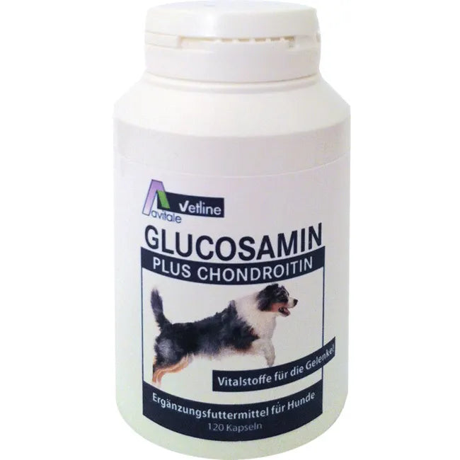Avitale vetline Glucosamine + Chondroitin for Dogs | 250 mg Glucosamine + 250 mg Chondroitin + Vitamin C | Joint & Mobility Support | 120 Capsules | PZN 03025791