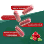 德国原装 Avitale 400mg蔓越莓胶囊 240 粒 PZN 04347717 AV36 原花青素 泌尿道补充剂