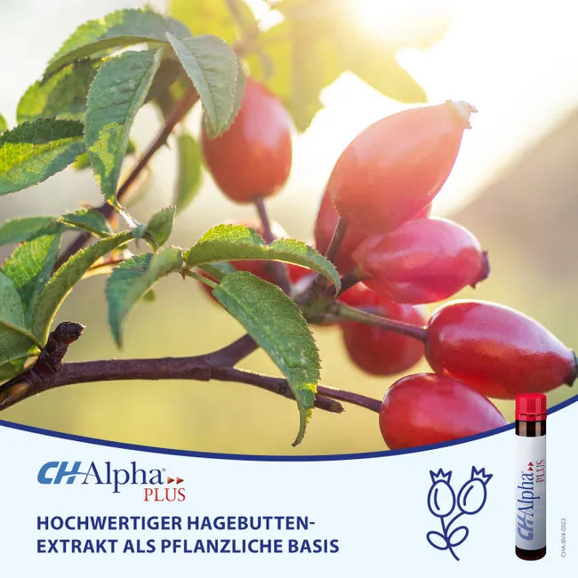 CH-Alpha PLUS 5,000 mg Collagen Peptides + Rose Hip Extract & Vitamin C | Joint & Cartilage Support | 30 Ready-to-Drink Ampoules | PZN 05005597