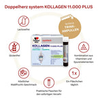 Doppelherz System Collagen Premium Duo Set | KOLLAGEN 11,000 PLUS (PZN 07625039) + KOLLAGEN 11,000 Curcuma + Ginger (PZN 16879158) | 60 Drinking Vials | Joint, Cartilage & Connective Tissue Support | Made in Germany