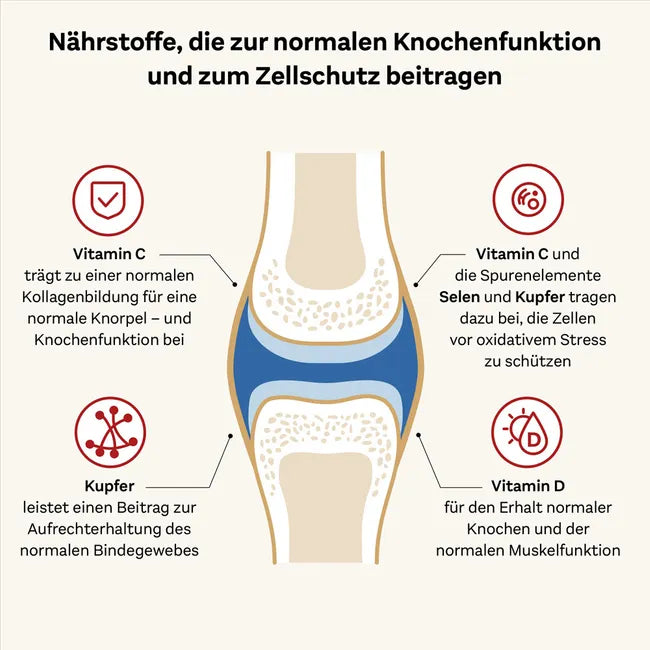 Doppelherz System Collagen Premium Duo Set | KOLLAGEN 11,000 PLUS (PZN 07625039) + KOLLAGEN 11,000 Curcuma + Ginger (PZN 16879158) | 60 Drinking Vials | Joint, Cartilage & Connective Tissue Support | Made in Germany