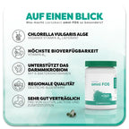 Lactobact omni FOS Gastro-Resistant Capsules 300 pcs | Probiotic Gut Flora & Vitamin B12 Support | Delayed-Release Capsules PZN 09668780