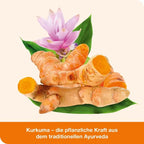 curcumin-Loges | High-Bioavailability Curcumin with Vitamin D3 | Micellar Curcumin Formula | 120 Capsules | PZN 10536670