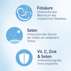 Elevit Pregnancy & Breastfeeding Ultimate Care Bundle | Elevit 2 + Elevit 3 + Weleda Pregnancy Body Oil + Weleda Breast Massage Oil | Complete Maternity Care | Made in Germany
