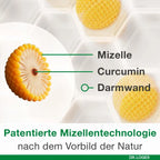 curcumin-Loges plus Boswellia 120 Capsules | High-Bioavailability Curcumin, Boswellia & Vitamin D3 | Joint & Mobility Support | PZN 14037248
