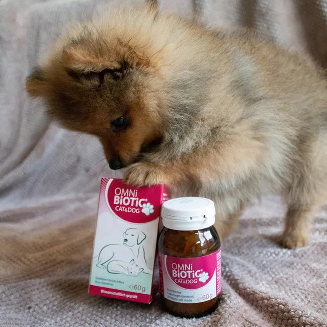 OMNi-BiOTiC CAT & DOG | Probiotic for Cats & Dogs | 2 Bacterial Strains + MOS | Gut Flora & Digestive Support | 60 g Powder | PZN 16034751