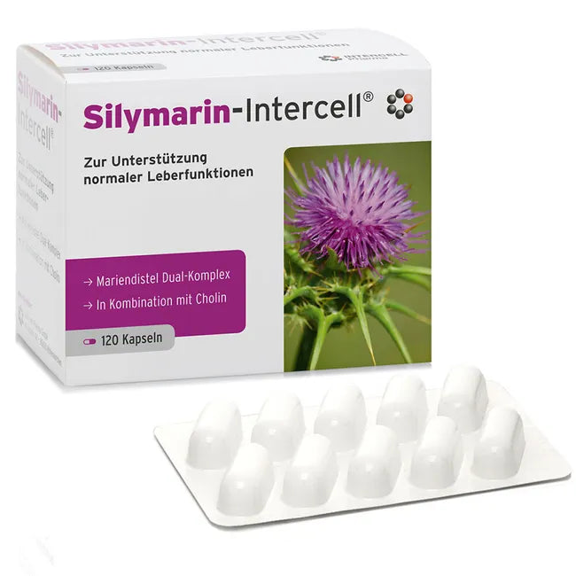 Silymarin-Intercell | Milk Thistle Extract, Silymarin 105 mg, Silibinin 85 mg + Choline 200 mg | Liver Function & Lipid Metabolism Support | 120 Capsules | PZN 16234591