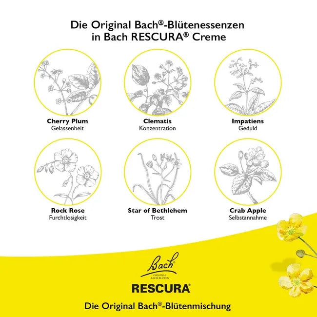 Bach RESCURA Cream | Shea Butter, Glycerin & Original Bach Flower Essence Blend | Moisturizing & Soothing Skin Care | 30 ml | PZN 16391824