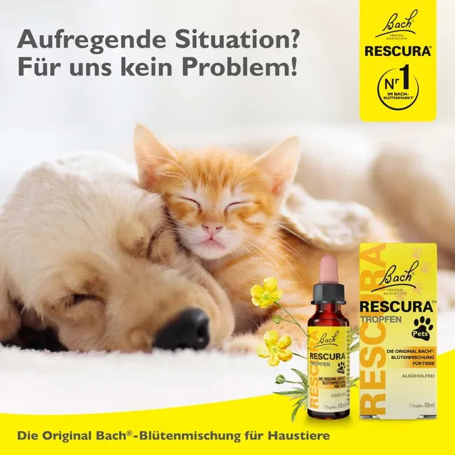 Bach RESCURA Pets Alcohol-Free Drops | Original 5 Bach Flower Essences | Emotional Wellbeing & Calming Support for Pets | Vegan | 10 ml | PZN 16391899
