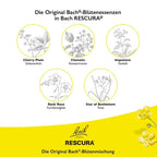 Bach RESCURA Pets Alcohol-Free Drops | Original 5 Bach Flower Essences | Emotional Wellbeing & Calming Support for Pets | Vegan | 10 ml | PZN 16391899