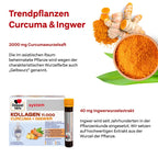 Doppelherz System Collagen Premium Duo Set | KOLLAGEN 11,000 PLUS (PZN 07625039) + KOLLAGEN 11,000 Curcuma + Ginger (PZN 16879158) | 60 Drinking Vials | Joint, Cartilage & Connective Tissue Support | Made in Germany