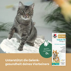 Doppelherz Joint Omega-3 Oil for Cats & Dogs | 21% Omega-3, Green-Lipped Mussel, Chondroitin & Devil’s Claw | Joint & Mobility Support | 250 ml | PZN 17305531