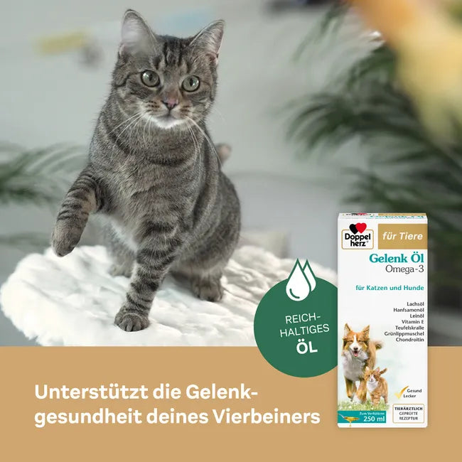 Doppelherz Joint Omega-3 Oil for Cats & Dogs | 21% Omega-3, Green-Lipped Mussel, Chondroitin & Devil’s Claw | Joint & Mobility Support | 250 ml | PZN 17305531