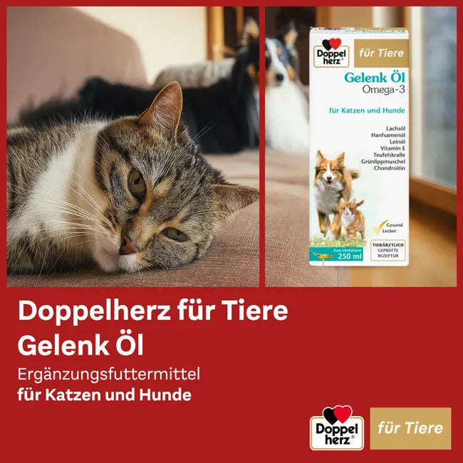 Doppelherz Joint Omega-3 Oil for Cats & Dogs | 21% Omega-3, Green-Lipped Mussel, Chondroitin & Devil’s Claw | Joint & Mobility Support | 250 ml | PZN 17305531