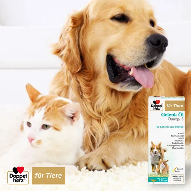 Doppelherz Joint Omega-3 Oil for Cats & Dogs | 21% Omega-3, Green-Lipped Mussel, Chondroitin & Devil’s Claw | Joint & Mobility Support | 250 ml | PZN 17305531