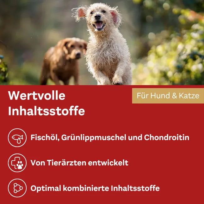 Doppelherz Joint Omega-3 Oil for Cats & Dogs | 21% Omega-3, Green-Lipped Mussel, Chondroitin & Devil’s Claw | Joint & Mobility Support | 250 ml | PZN 17305531