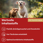 Doppelherz Joint Omega-3 Oil for Cats & Dogs | 21% Omega-3, Green-Lipped Mussel, Chondroitin & Devil’s Claw | Joint & Mobility Support | 250 ml | PZN 17305531