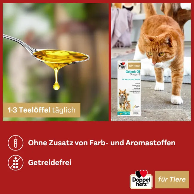 Doppelherz Joint Omega-3 Oil for Cats & Dogs | 21% Omega-3, Green-Lipped Mussel, Chondroitin & Devil’s Claw | Joint & Mobility Support | 250 ml | PZN 17305531