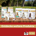 Doppelherz Joint Omega-3 Oil for Cats & Dogs | 21% Omega-3, Green-Lipped Mussel, Chondroitin & Devil’s Claw | Joint & Mobility Support | 250 ml | PZN 17305531