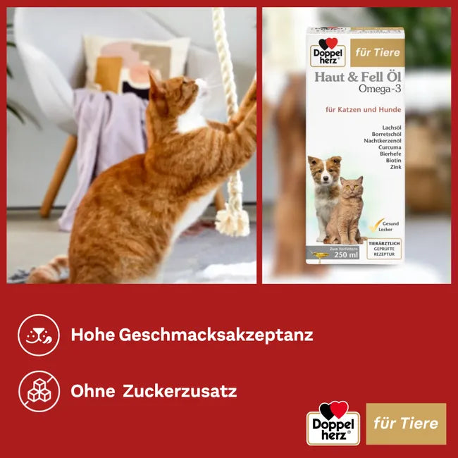Doppelherz Skin & Coat Omega-3 Oil for Cats & Dogs | Salmon Oil, Omega-3 & 6, Biotin, Zinc & Vitamins | 250 ml | PZN 17305548