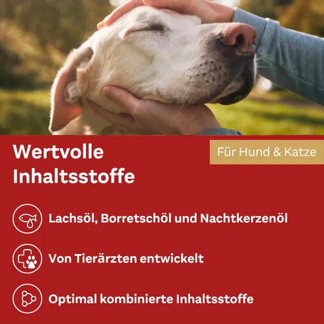 Doppelherz Skin & Coat Omega-3 Oil for Cats & Dogs | Salmon Oil, Omega-3 & 6, Biotin, Zinc & Vitamins | 250 ml | PZN 17305548