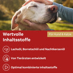 Doppelherz Skin & Coat Omega-3 Oil for Cats & Dogs | Salmon Oil, Omega-3 & 6, Biotin, Zinc & Vitamins | 250 ml | PZN 17305548